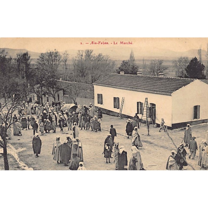 Rare collectable postcards of ALGERIA Algérie Belgique België. Vintage Postcards of ALGERIA Algérie Belgique België