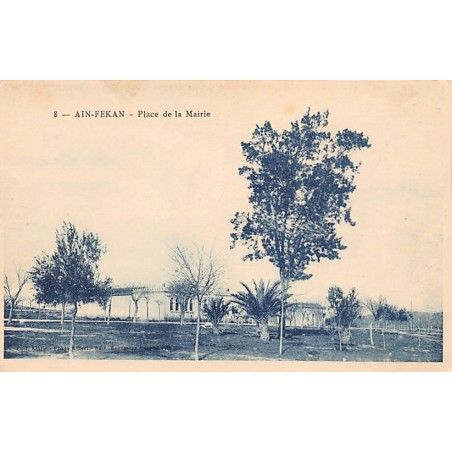 Rare collectable postcards of ALGERIA Algérie Belgique België. Vintage Postcards of ALGERIA Algérie Belgique België