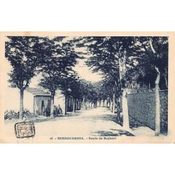 Rare collectable postcards of ALGERIA Algérie Belgique België. Vintage Postcards of ALGERIA Algérie Belgique België