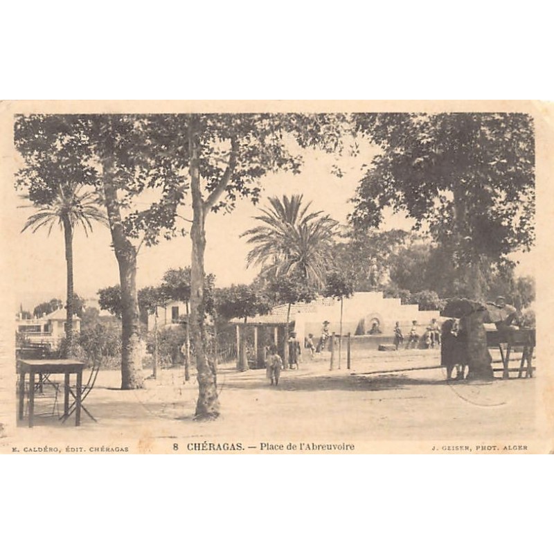 Rare collectable postcards of ALGERIA Algérie Belgique België. Vintage Postcards of ALGERIA Algérie Belgique België