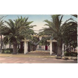 Rare collectable postcards of ALGERIA Algérie Belgique België. Vintage Postcards of ALGERIA Algérie Belgique België