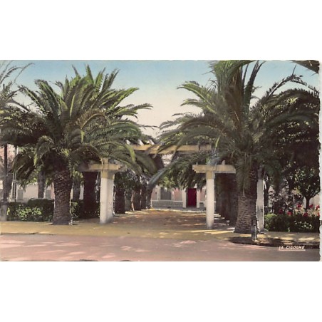 Rare collectable postcards of ALGERIA Algérie Belgique België. Vintage Postcards of ALGERIA Algérie Belgique België