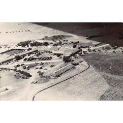 Rare collectable postcards of ALGERIA Algérie Belgique België. Vintage Postcards of ALGERIA Algérie Belgique België