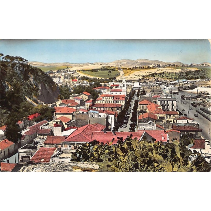 Rare collectable postcards of ALGERIA Algérie Belgique België. Vintage Postcards of ALGERIA Algérie Belgique België