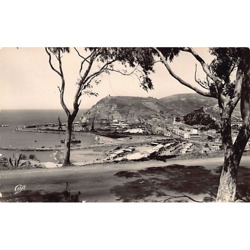 Rare collectable postcards of ALGERIA Algérie Belgique België. Vintage Postcards of ALGERIA Algérie Belgique België