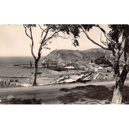 Rare collectable postcards of ALGERIA Algérie Belgique België. Vintage Postcards of ALGERIA Algérie Belgique België