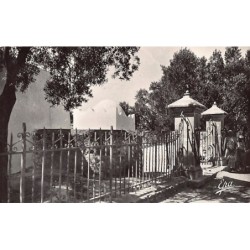 Rare collectable postcards of ALGERIA Algérie Belgique België. Vintage Postcards of ALGERIA Algérie Belgique België