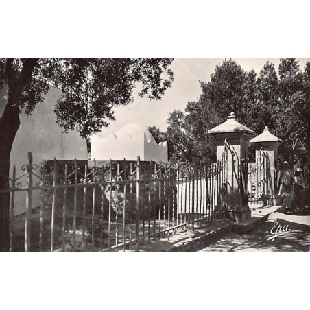 Rare collectable postcards of ALGERIA Algérie Belgique België. Vintage Postcards of ALGERIA Algérie Belgique België