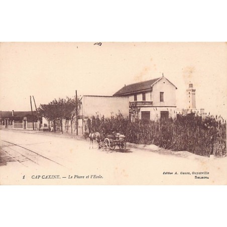 Rare collectable postcards of ALGERIA Algérie Belgique België. Vintage Postcards of ALGERIA Algérie Belgique België