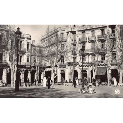 Rare collectable postcards of ALGERIA Algérie Belgique België. Vintage Postcards of ALGERIA Algérie Belgique België