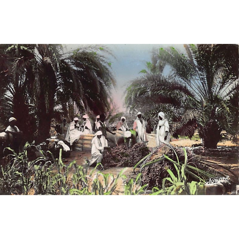 Rare collectable postcards of ALGERIA Algérie Belgique België. Vintage Postcards of ALGERIA Algérie Belgique België