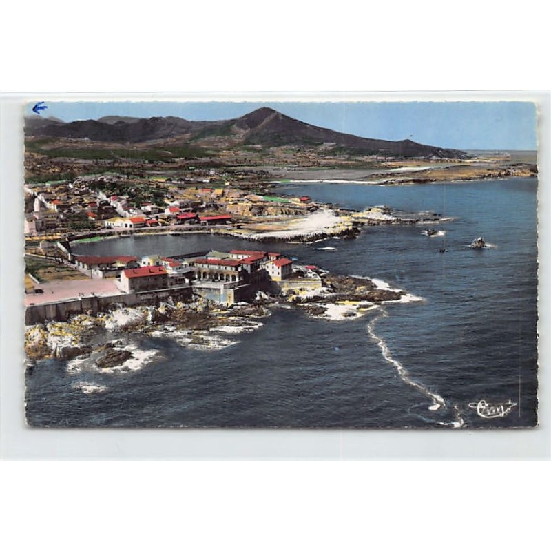 Rare collectable postcards of ALGERIA Algérie Belgique België. Vintage Postcards of ALGERIA Algérie Belgique België