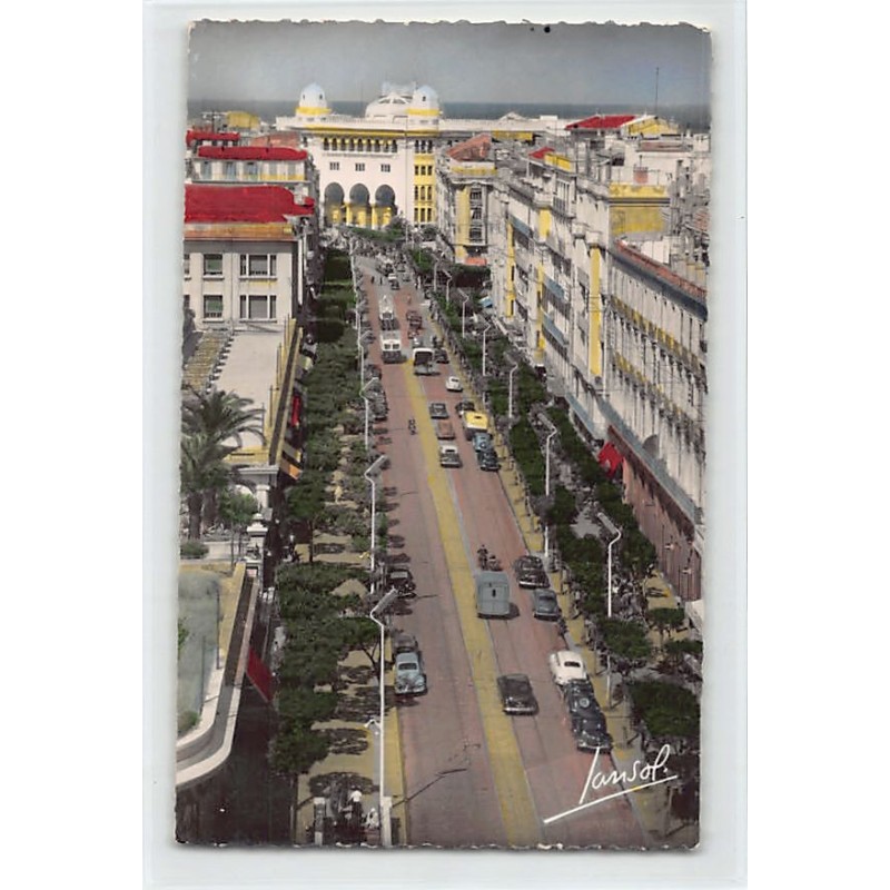 Rare collectable postcards of ALGERIA Algérie Belgique België. Vintage Postcards of ALGERIA Algérie Belgique België