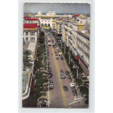 Rare collectable postcards of ALGERIA Algérie Belgique België. Vintage Postcards of ALGERIA Algérie Belgique België