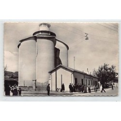 Rare collectable postcards of ALGERIA Algérie Belgique België. Vintage Postcards of ALGERIA Algérie Belgique België