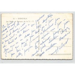 Rare collectable postcards of ALGERIA Algérie Belgique België. Vintage Postcards of ALGERIA Algérie Belgique België