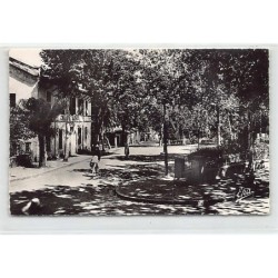 Rare collectable postcards of ALGERIA Algérie Belgique België. Vintage Postcards of ALGERIA Algérie Belgique België