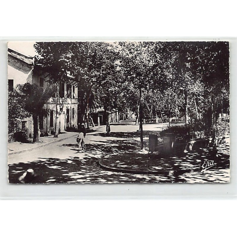 Rare collectable postcards of ALGERIA Algérie Belgique België. Vintage Postcards of ALGERIA Algérie Belgique België