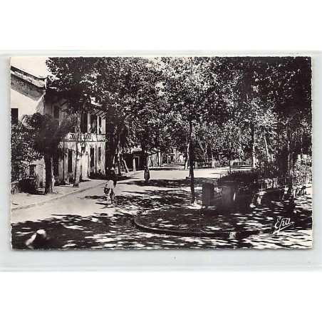 Rare collectable postcards of ALGERIA Algérie Belgique België. Vintage Postcards of ALGERIA Algérie Belgique België