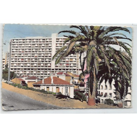 Rare collectable postcards of ALGERIA Algérie Belgique België. Vintage Postcards of ALGERIA Algérie Belgique België