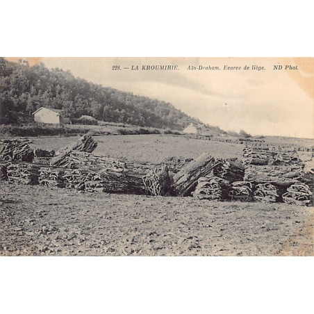 Rare collectable postcards of TUNISIA Tunisie Belgique België. Vintage Postcards of TUNISIA Tunisie Belgique België