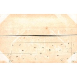 Rare collectable postcards of TUNISIA Tunisie Belgique België. Vintage Postcards of TUNISIA Tunisie Belgique België