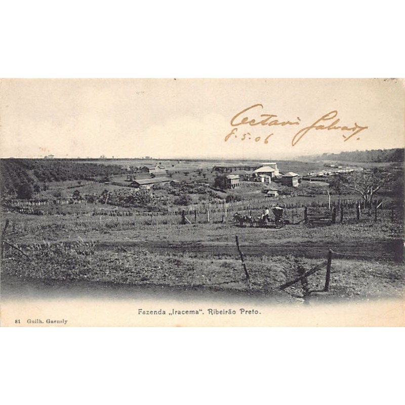 Rare collectable postcards of BRAZIL Belgique België. Vintage Postcards of BRAZIL Belgique België