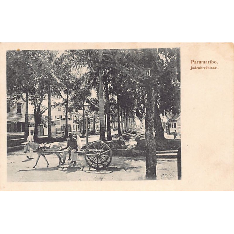 Rare collectable postcards of SURINAME Surinam Belgique België. Vintage Postcards of SURINAME Surinam Belgique België