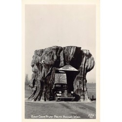 Rare collectable postcards of USA United States of America Belgique België. Vintage Postcards of USA United States of America Be