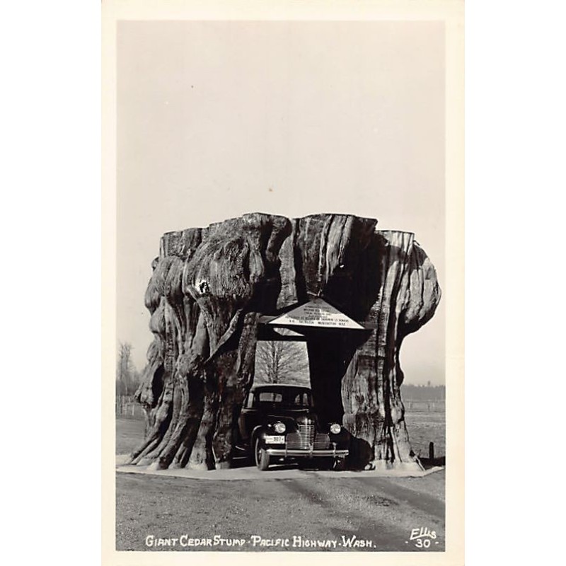 Rare collectable postcards of USA United States of America Belgique België. Vintage Postcards of USA United States of America Be