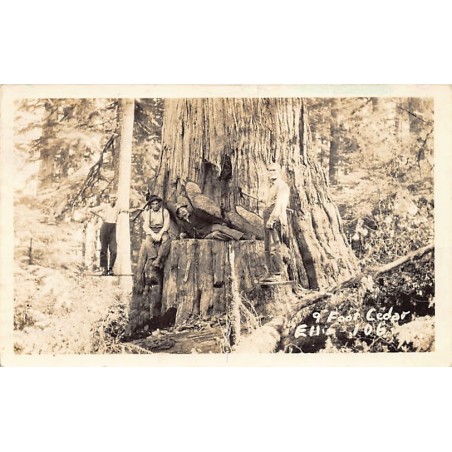 Rare collectable postcards of USA United States of America Belgique België. Vintage Postcards of USA United States of America Be