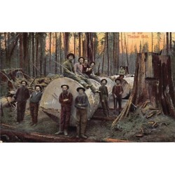 Rare collectable postcards of USA United States of America Belgique België. Vintage Postcards of USA United States of America Be