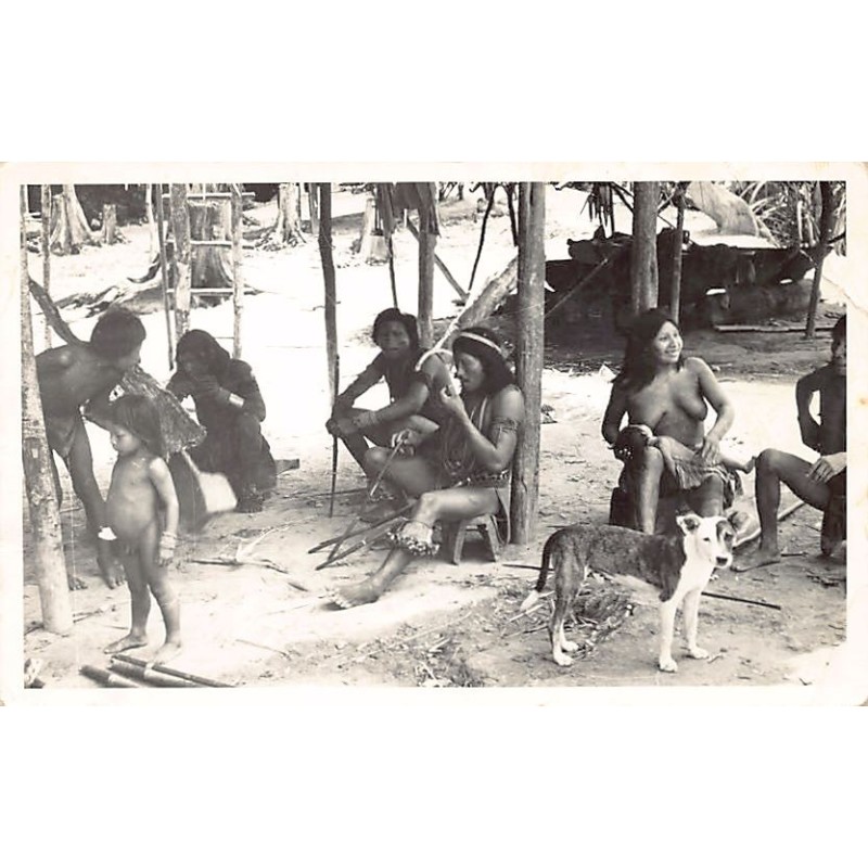 Rare collectable postcards of GUYANE French Guiana Belgique België. Vintage Postcards of GUYANE French Guiana Belgique België