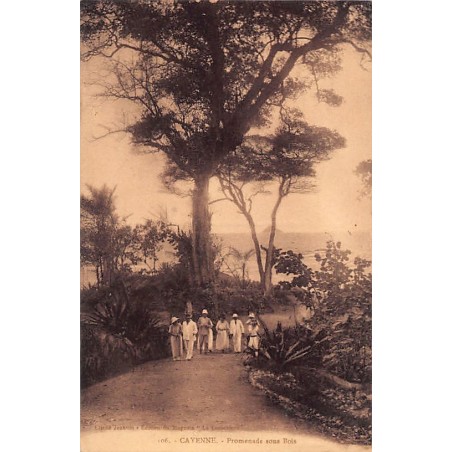 Rare collectable postcards of GUYANE French Guiana Belgique België. Vintage Postcards of GUYANE French Guiana Belgique België