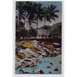 Rare collectable postcards of GUYANE French Guiana Belgique België. Vintage Postcards of GUYANE French Guiana Belgique België
