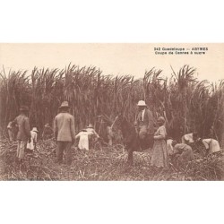 Rare collectable postcards of GUADELOUPE Belgique België. Vintage Postcards of GUADELOUPE Belgique België