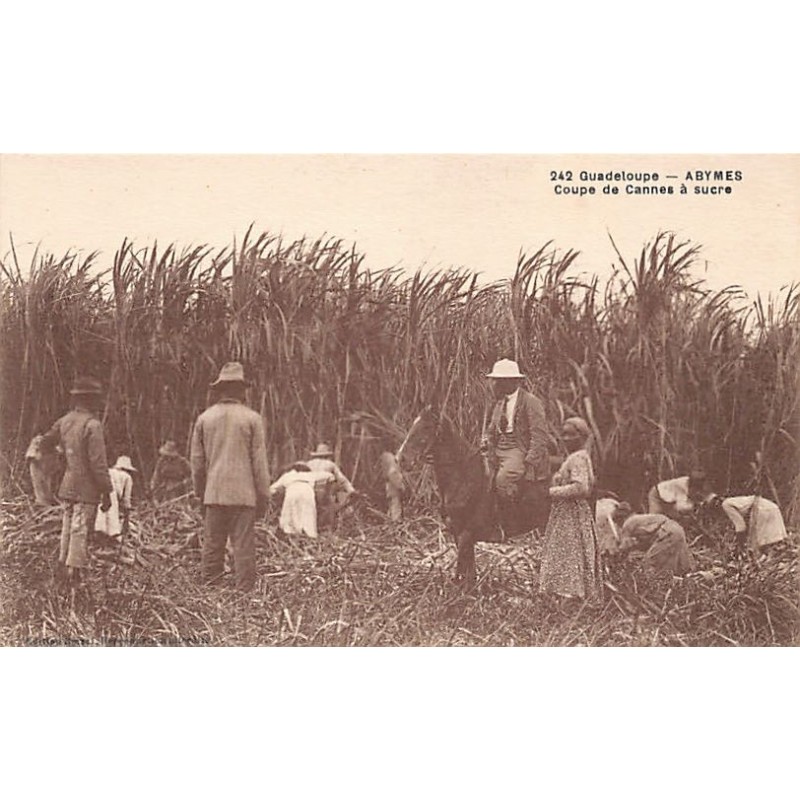 Rare collectable postcards of GUADELOUPE Belgique België. Vintage Postcards of GUADELOUPE Belgique België