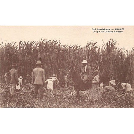 Rare collectable postcards of GUADELOUPE Belgique België. Vintage Postcards of GUADELOUPE Belgique België