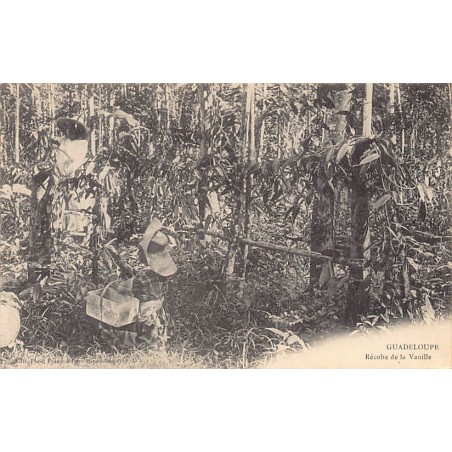 Rare collectable postcards of GUADELOUPE Belgique België. Vintage Postcards of GUADELOUPE Belgique België