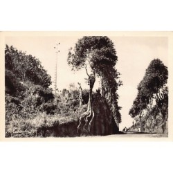 Rare collectable postcards of GUADELOUPE Belgique België. Vintage Postcards of GUADELOUPE Belgique België