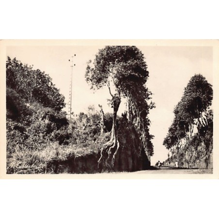 Rare collectable postcards of GUADELOUPE Belgique België. Vintage Postcards of GUADELOUPE Belgique België