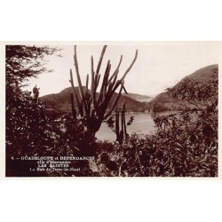 Rare collectable postcards of GUADELOUPE Belgique België. Vintage Postcards of GUADELOUPE Belgique België