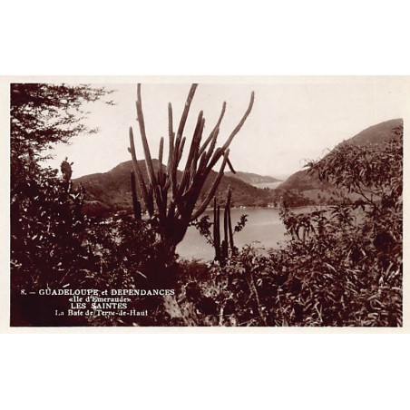 Rare collectable postcards of GUADELOUPE Belgique België. Vintage Postcards of GUADELOUPE Belgique België