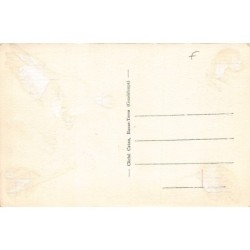 Rare collectable postcards of GUADELOUPE Belgique België. Vintage Postcards of GUADELOUPE Belgique België