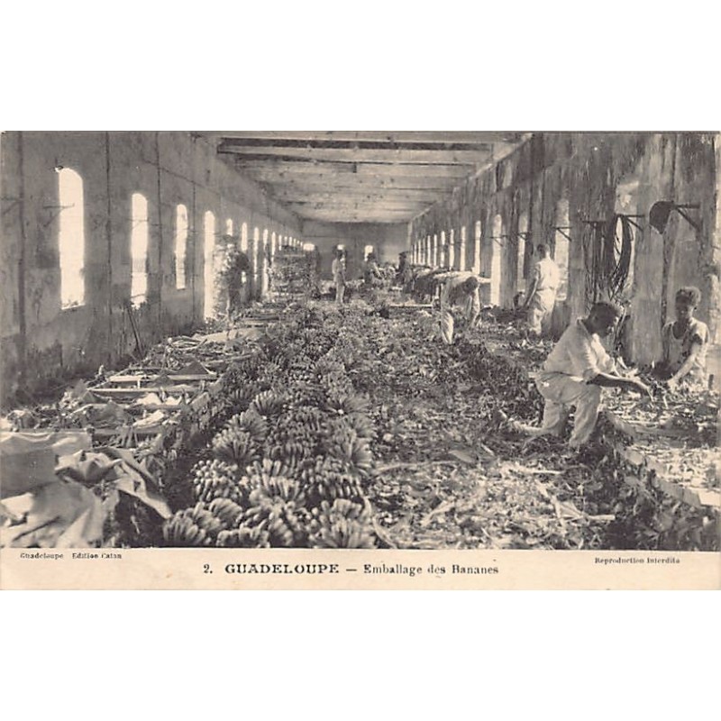 Rare collectable postcards of GUADELOUPE Belgique België. Vintage Postcards of GUADELOUPE Belgique België