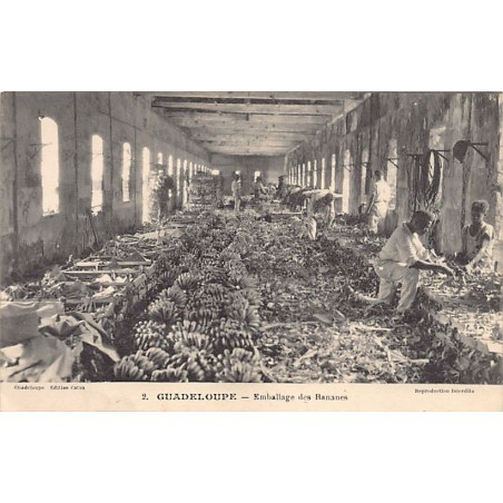 Rare collectable postcards of GUADELOUPE Belgique België. Vintage Postcards of GUADELOUPE Belgique België