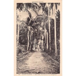 Rare collectable postcards of GUADELOUPE Belgique België. Vintage Postcards of GUADELOUPE Belgique België