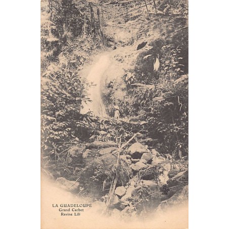 Rare collectable postcards of GUADELOUPE Belgique België. Vintage Postcards of GUADELOUPE Belgique België