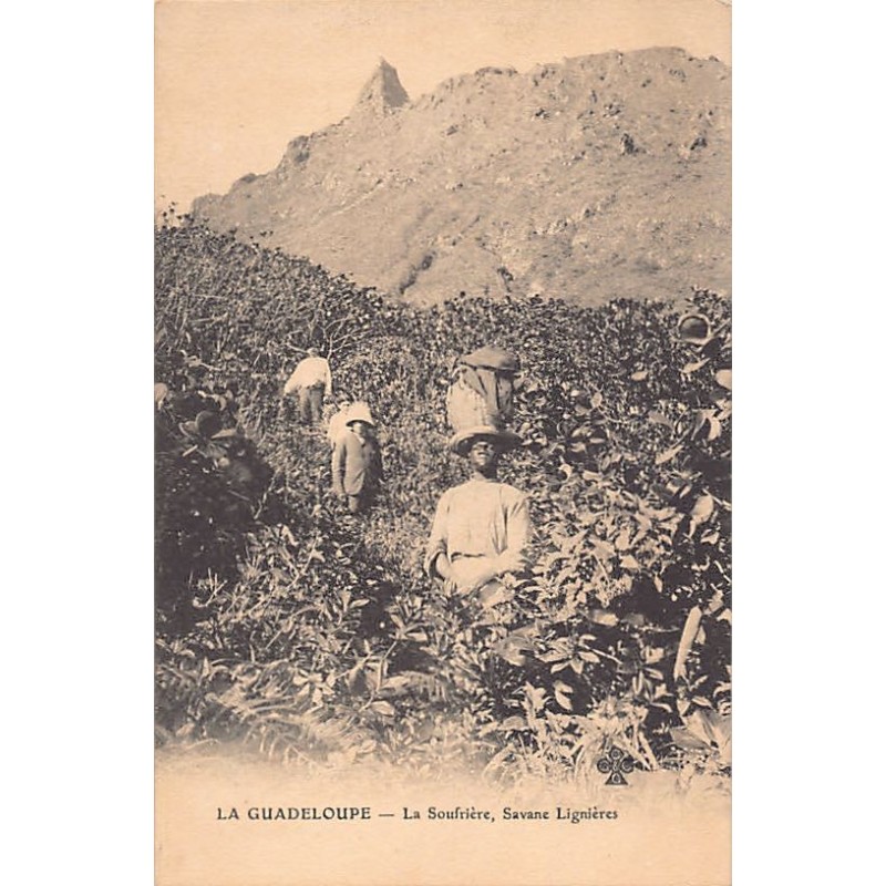 Rare collectable postcards of GUADELOUPE Belgique België. Vintage Postcards of GUADELOUPE Belgique België