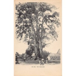 Rare collectable postcards of GUADELOUPE Belgique België. Vintage Postcards of GUADELOUPE Belgique België